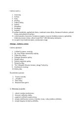 Lietuvos kurortai 5 puslapis