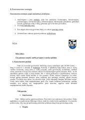 Lietuvos kurortai 6 puslapis