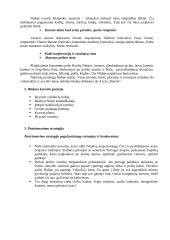 Lietuvos kurortai 7 puslapis