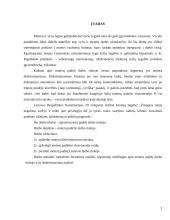 Lietuvos moterų padėtis darbo rinkoje 3 puslapis