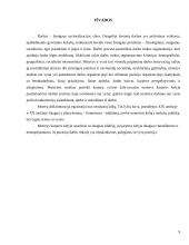 Lietuvos moterų padėtis darbo rinkoje 9 puslapis