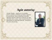 Alvydo Šlepiko romanas „Mano vardas – Marytė” 2 puslapis