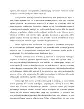 Meno kūrinio analizė. Gizos piramidės 4 puslapis