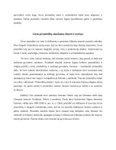 Meno kūrinio analizė. Gizos piramidės 5 puslapis