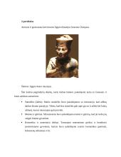 Meno kūrinio analizė. Gizos piramidės 6 puslapis