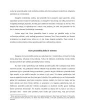 Meno kūrinio analizė. Gizos piramidės 8 puslapis