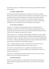 Breto Ratnerio režisuoto filmo „Piko valanda“ recenzija 3 puslapis