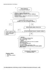 Būtinoji medicinos pagalba ir intensyvioji slauga. Egzamino konspektas 13 puslapis