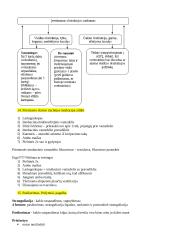 Būtinoji medicinos pagalba ir intensyvioji slauga. Egzamino konspektas 16 puslapis