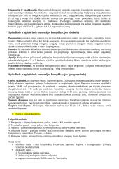 Būtinoji medicinos pagalba ir intensyvioji slauga. Egzamino konspektas 6 puslapis