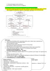 Būtinoji medicinos pagalba ir intensyvioji slauga. Egzamino konspektas 7 puslapis
