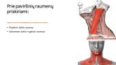 Kaklo ir nugaros raumenys, jų funkcijos 6 puslapis