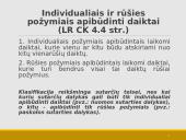 Daiktinės teisės bendrosios nuostatos 10 puslapis