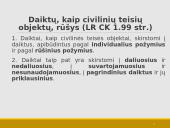 Daiktinės teisės bendrosios nuostatos 19 puslapis