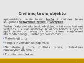 Daiktinės teisės bendrosios nuostatos 20 puslapis