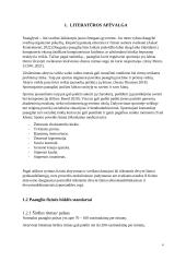 Teatro populiarumas ir įtaka nuo 15 iki 18 metų paauglio brandai tyrimas 3 puslapis