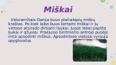 Skaidrės apie Daniją 11 puslapis