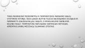 Skaidrės. Termometras 8 puslapis