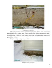 Pastatų ekspertizė 5 puslapis