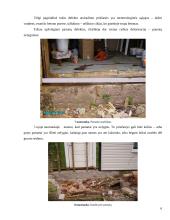 Pastatų ekspertizė 6 puslapis