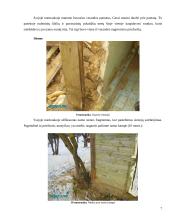 Pastatų ekspertizė 7 puslapis