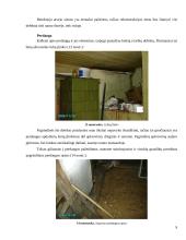 Pastatų ekspertizė 9 puslapis
