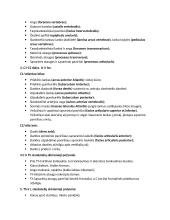 Anatomija. Kaulų konspektas 16 puslapis