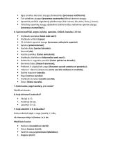 Anatomija. Kaulų konspektas 17 puslapis