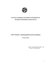 Pastatų gamybos proceso ypatumai: UAB "Vėtrūna"