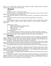 Pastatų gamybos proceso ypatumai: UAB "Vėtrūna" 6 puslapis