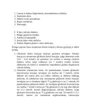 Cukrinis diabetas ir slaugos praktika 2 puslapis
