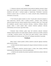 Moksleivio lyderystės ugdymas mokykloje 10 puslapis