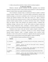 Moksleivio lyderystės ugdymas mokykloje 3 puslapis