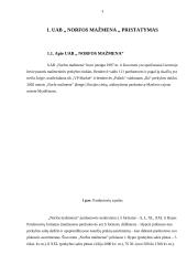 Reklamos analizė: UAB "Norfos mažmena" 3 puslapis