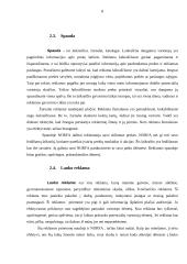 Reklamos analizė: UAB "Norfos mažmena" 8 puslapis