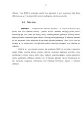 Reklamos analizė: UAB "Norfos mažmena" 9 puslapis