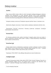 Didieji tinklai referatas