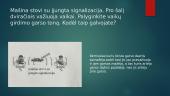 Doplerio efektas (skaidrės) 8 puslapis