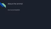 Unique Animals  5 puslapis