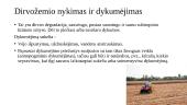 Žemės ūkis ir aplinka (skaidrės) 3 puslapis