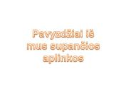 Skaidrės. Šilumos laidumas 11 puslapis