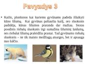 Skaidrės. Šilumos laidumas 14 puslapis
