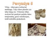 Skaidrės. Šilumos laidumas 16 puslapis