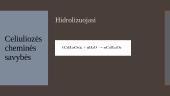 Krakmolas ir celiuliozė 12 puslapis