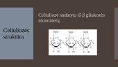 Krakmolas ir celiuliozė 4 puslapis