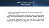 Darbo santykių teisinis reguliavimas 12 puslapis