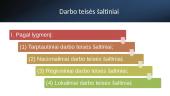 Darbo santykių teisinis reguliavimas 5 puslapis