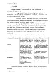 Akcijos, obligacijos ir kiti vertybiniai popieriai 17 puslapis