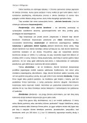 Akcijos, obligacijos ir kiti vertybiniai popieriai 3 puslapis