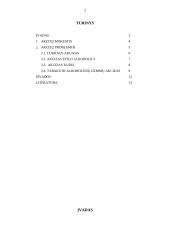 Akcizų problemos Lietuvoje 2 puslapis